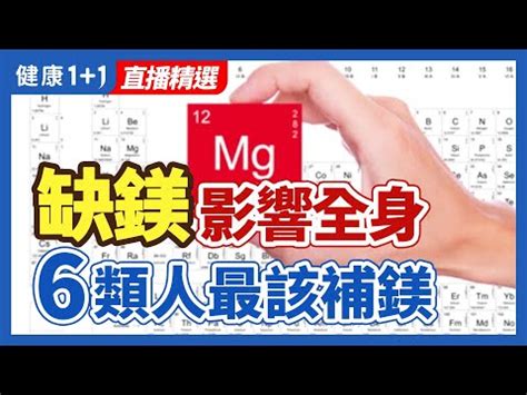 鎂 意思|MAGNESIUM中文(繁體)翻譯：劍橋詞典